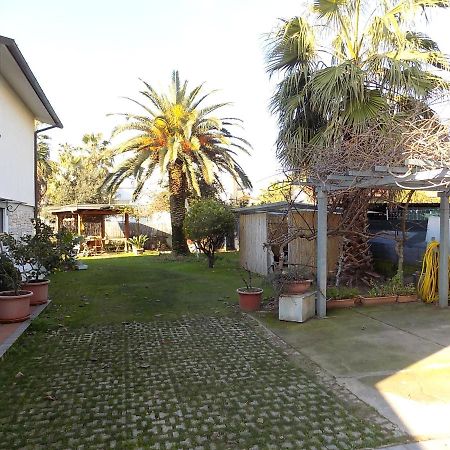 الشقق الفندقية مارينا دي ماسافي  Casa Nuccia Gentili David المظهر الخارجي الصورة